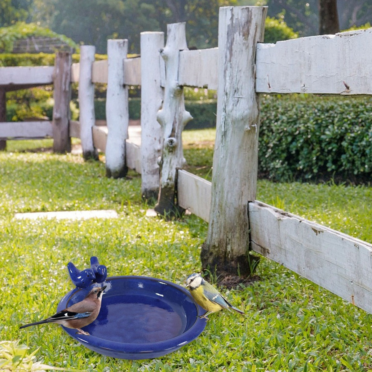 Keramik Vogeltränke Oasis – wetterfeste Wasserschale mit Deko-Vögeln, Ø 30 cm, verschiedene Farben – frostfest & pflegeleicht