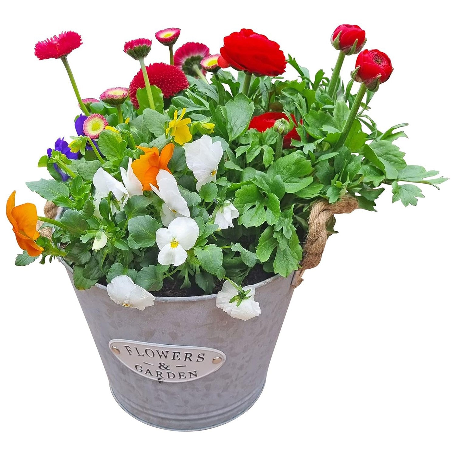 Pflanztopf 2er Set Blumentopf Zinktopf mit Jutegriffen 21/22 cm Übertopf Blumentopf