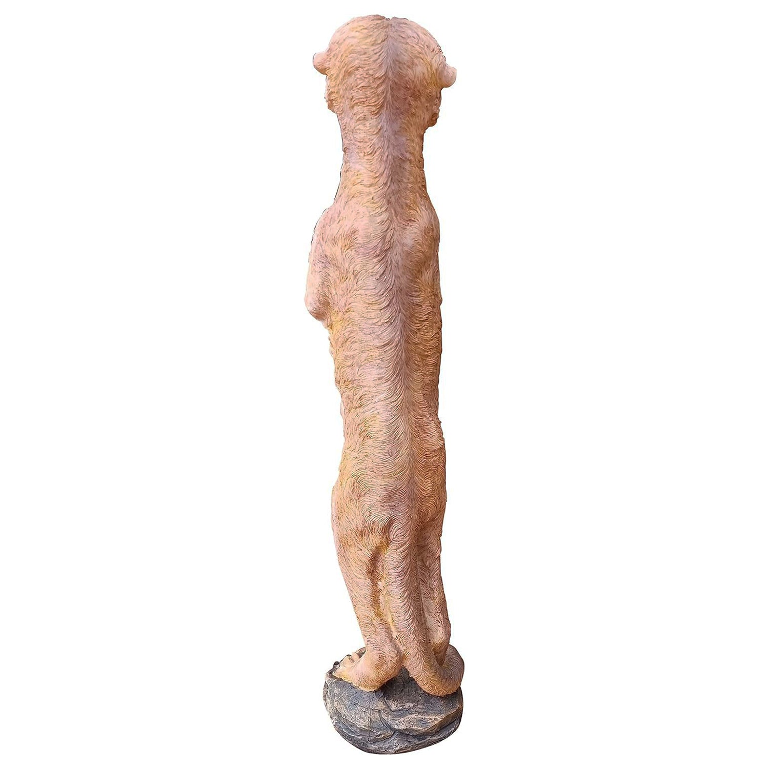 Erdmännchen Erdmännchenfigur Surikate neugierig blickend Scharrtier Tierfigur Dekofigur