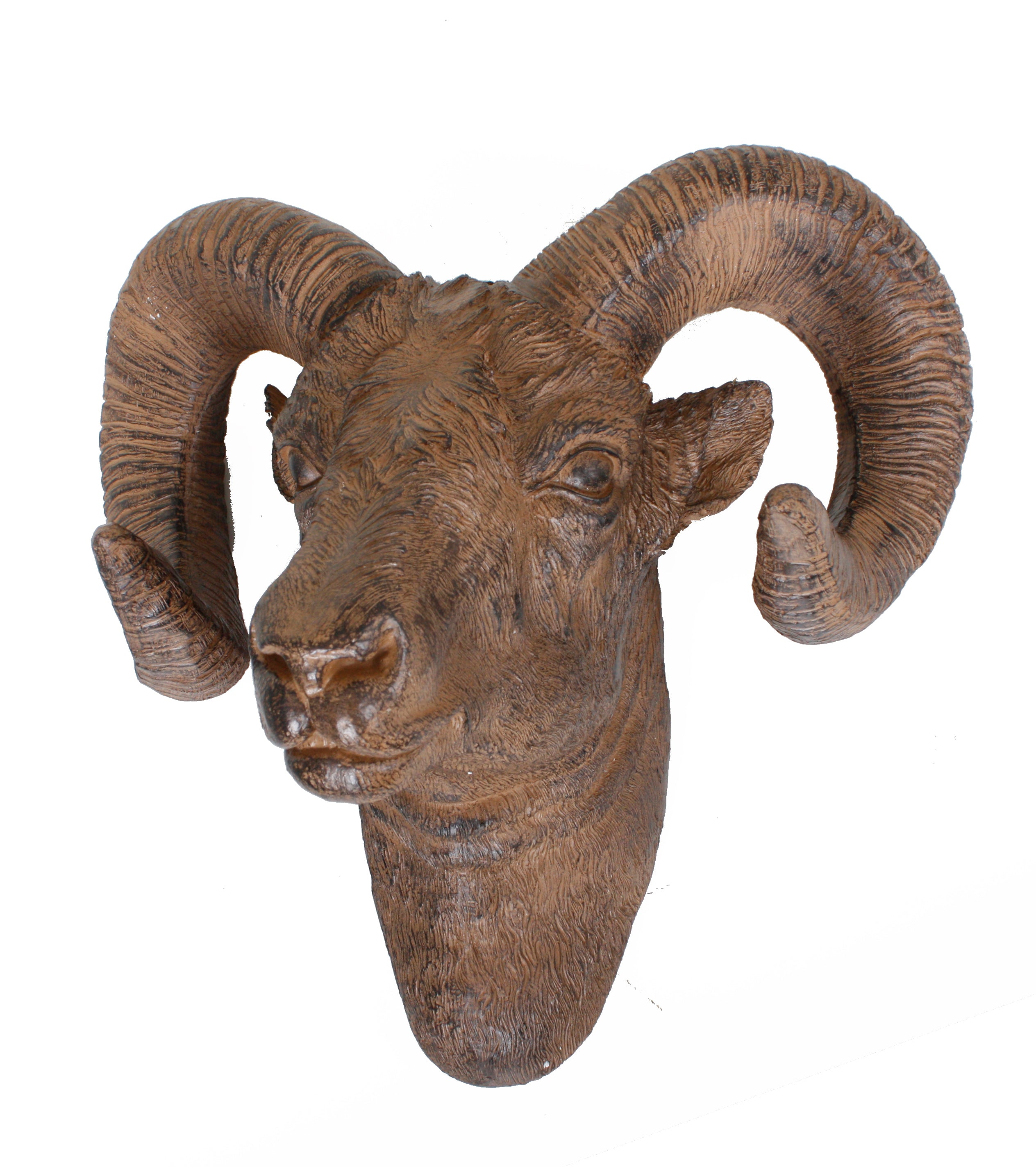 Geweih Deko-Geweih WIDDER Wandtrophäe rustikales Accessoire von Deco Pleasure