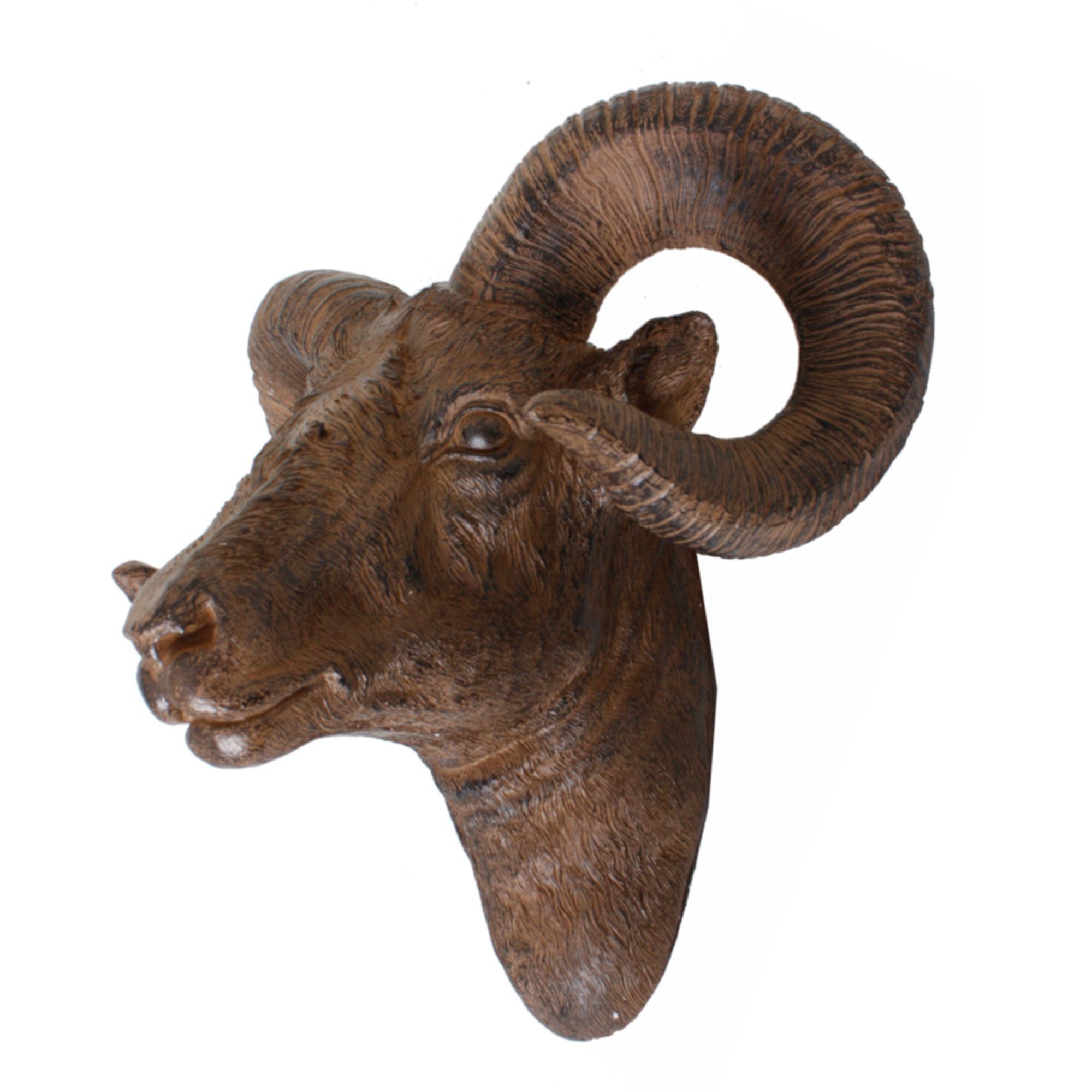 Geweih Deko-Geweih WIDDER Wandtrophäe rustikales Accessoire von Deco Pleasure