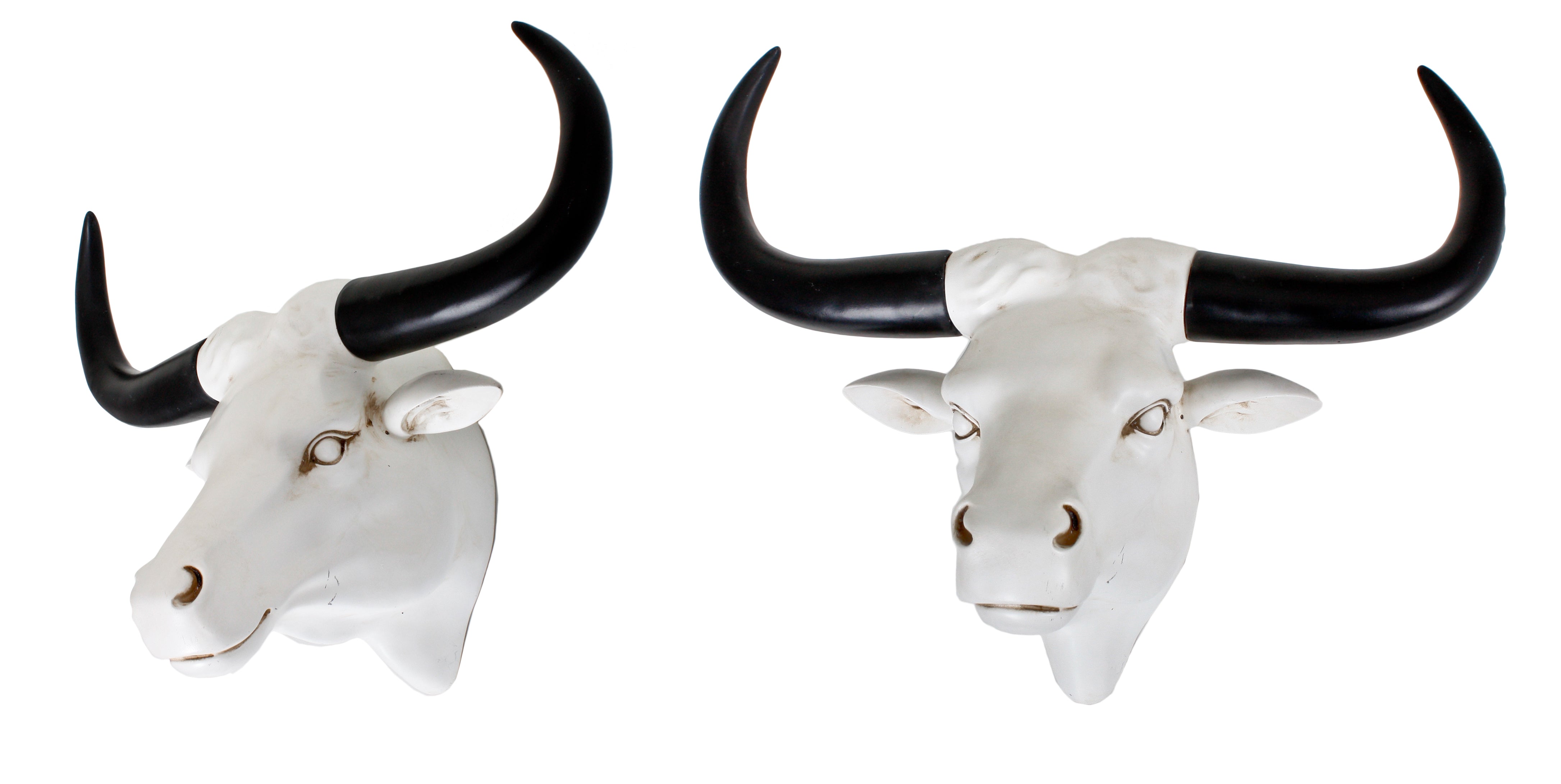 Geweih 2er Set BÜFFEL Deko-Trophäe Wandschmuck modern von Garden Pleasure