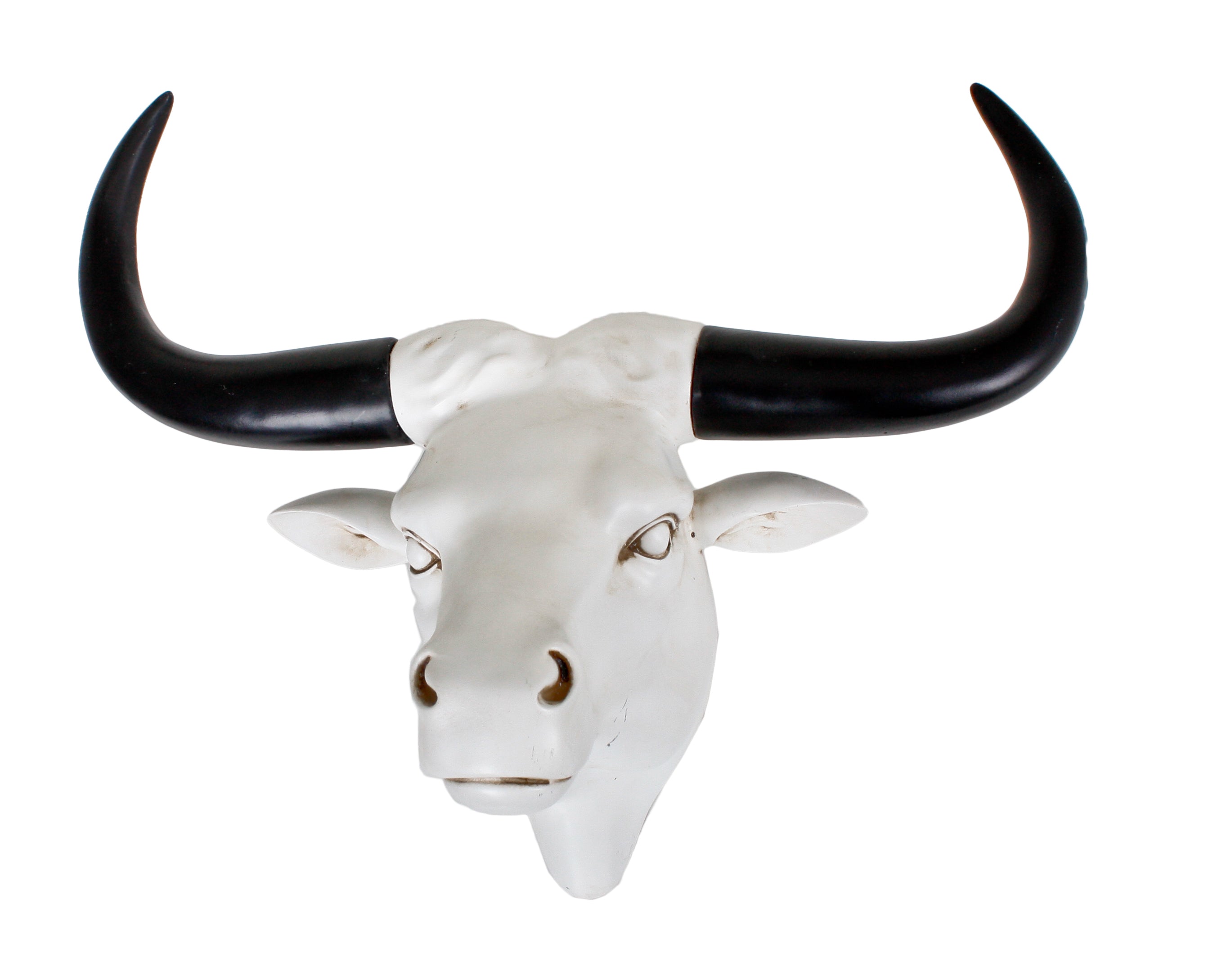 Geweih 2er Set BÜFFEL Deko-Trophäe Wandschmuck modern von Garden Pleasure