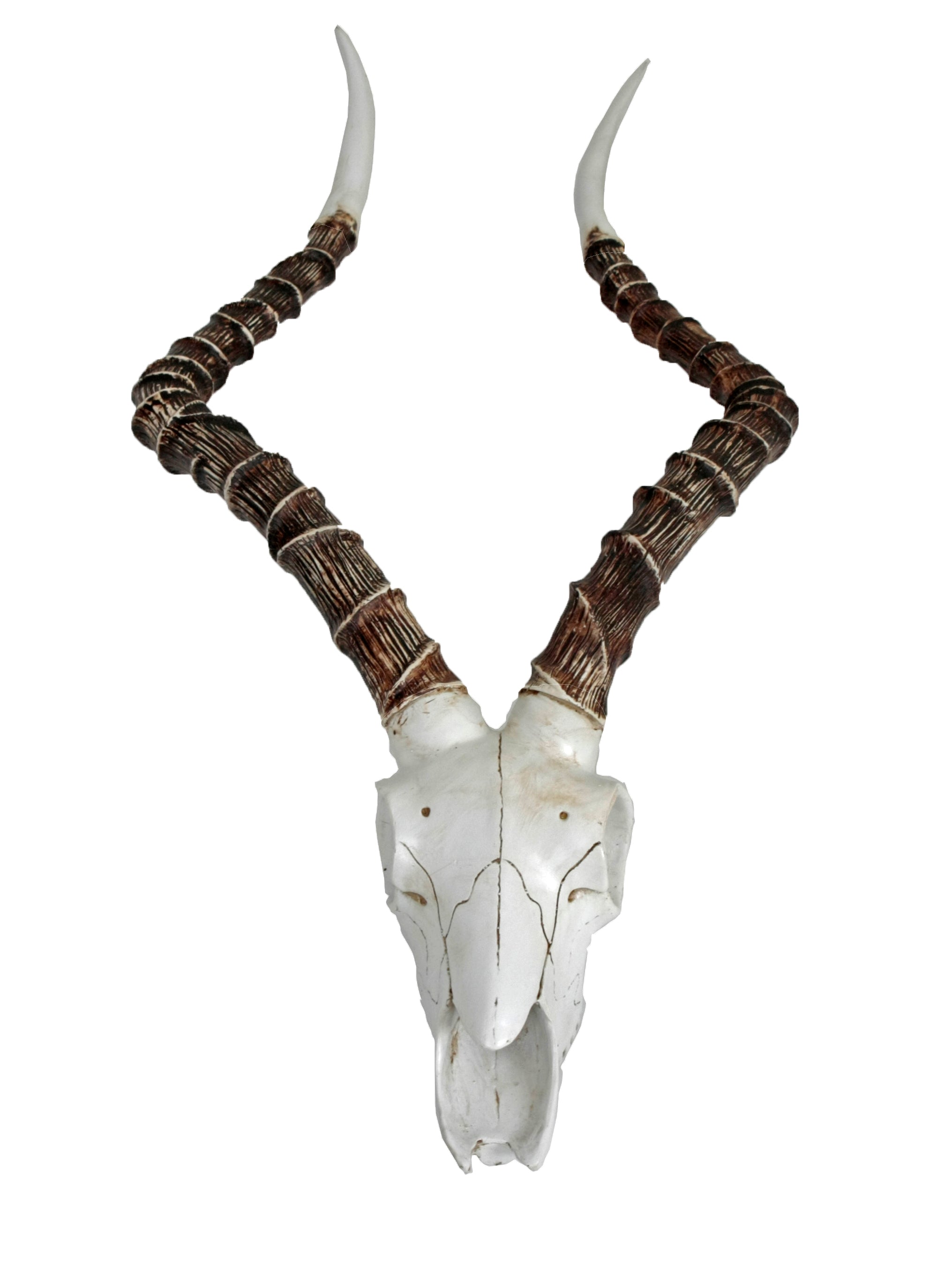 Impalakopf Wanddekoration moderne Wandtrophäe Antilopenkopf Wandschmuck von Deco Pleasure