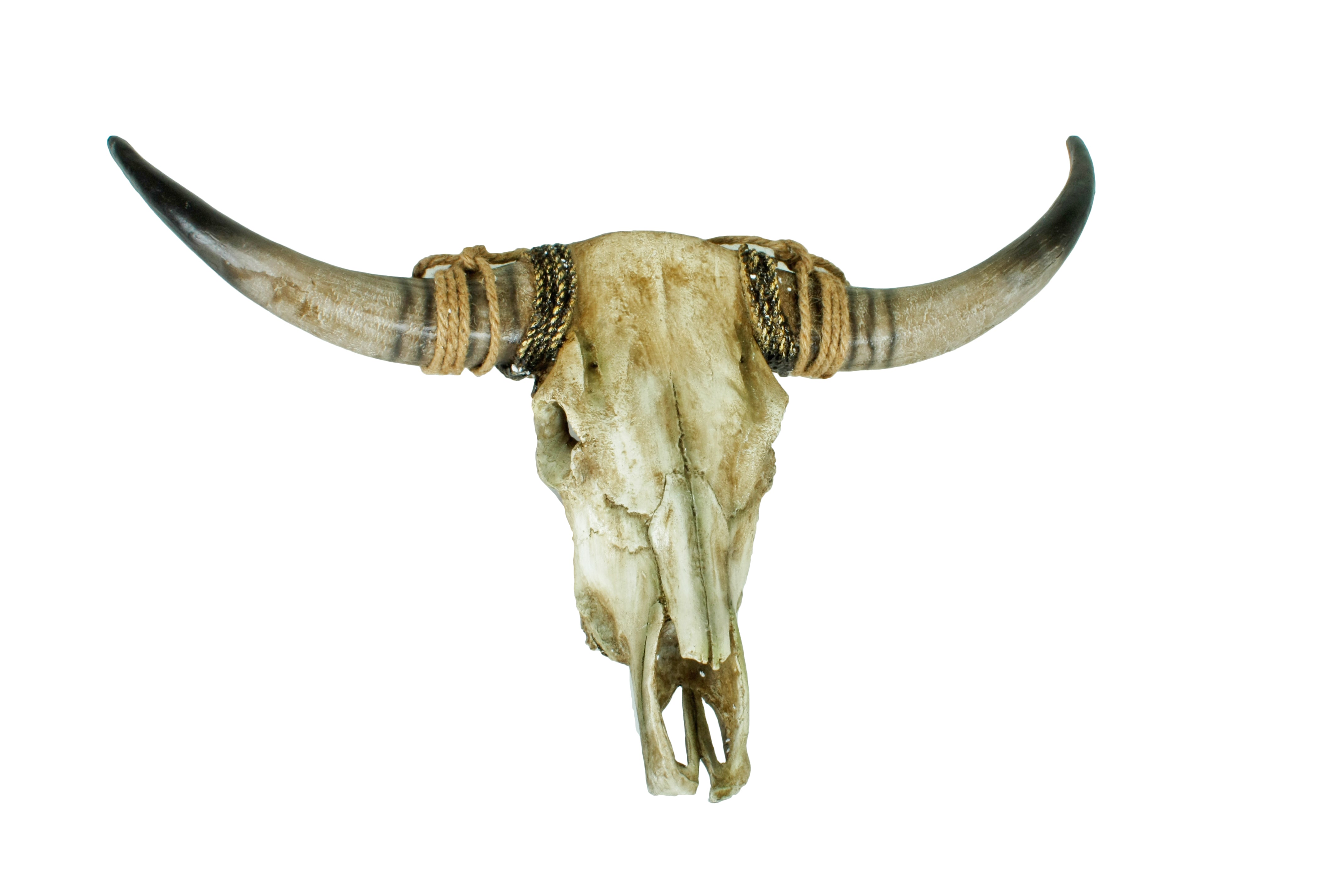 Geweih rustikale Wandtrophäe RIND Deko-Rinderschädel von Deco Pleasure