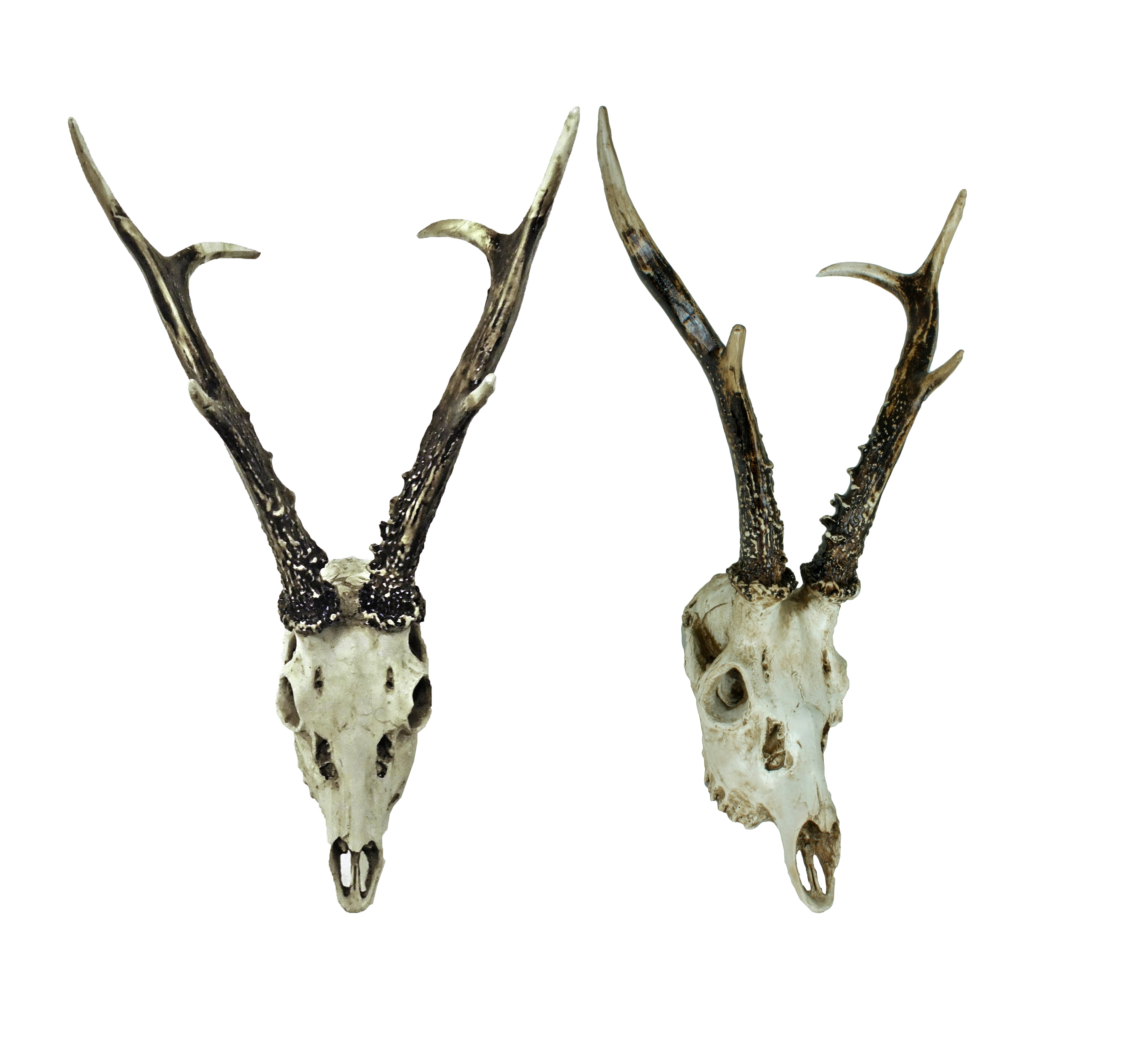 2er Set Geweih Reh rustikale Wandtrophäe Rehbock-Wandschmuck von Deco Pleasure