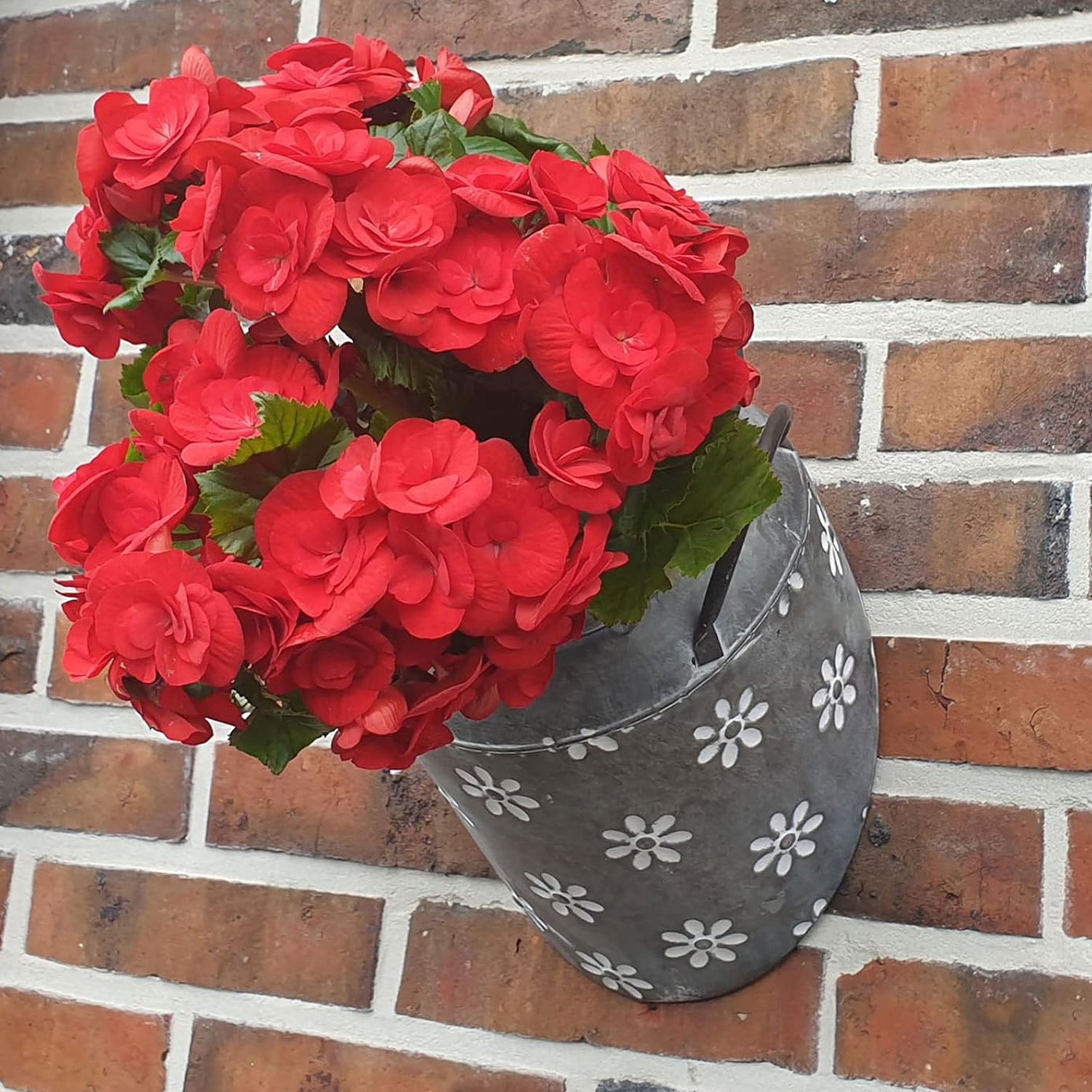 Wand Blumentopf Metall | Wand Pflanztopf Milchkanne mit Dekor | Hänge-Übertopf im Landhausstil