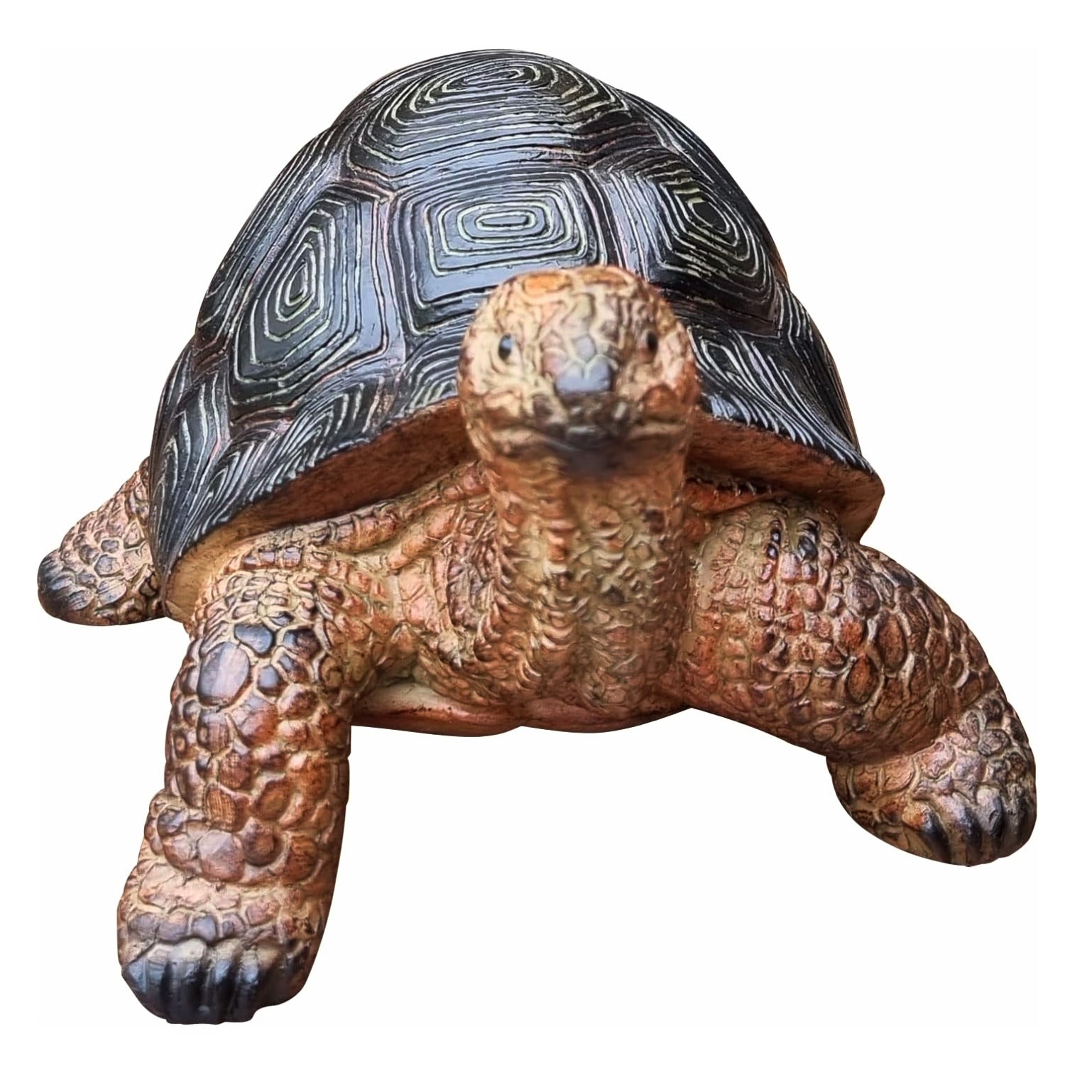 Dekofigur Schildkröte Frieda lebensechte Gartendeko Tierfigur