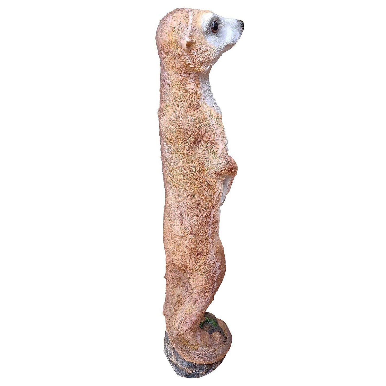 Erdmännchen Erdmännchenfigur Surikate neugierig blickend Scharrtier Tierfigur Dekofigur