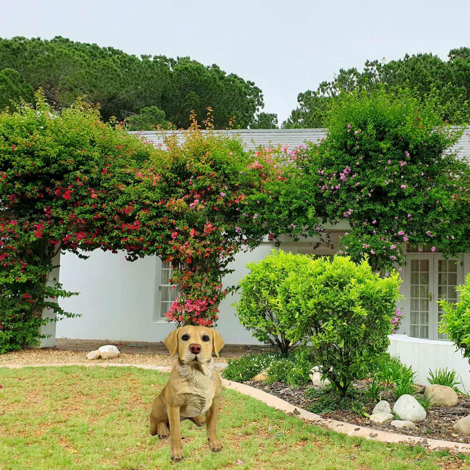 Hundefigur Labrador Figur „Balou“ Deko Hund Hundefiguren Lebensecht für Garten & Haus