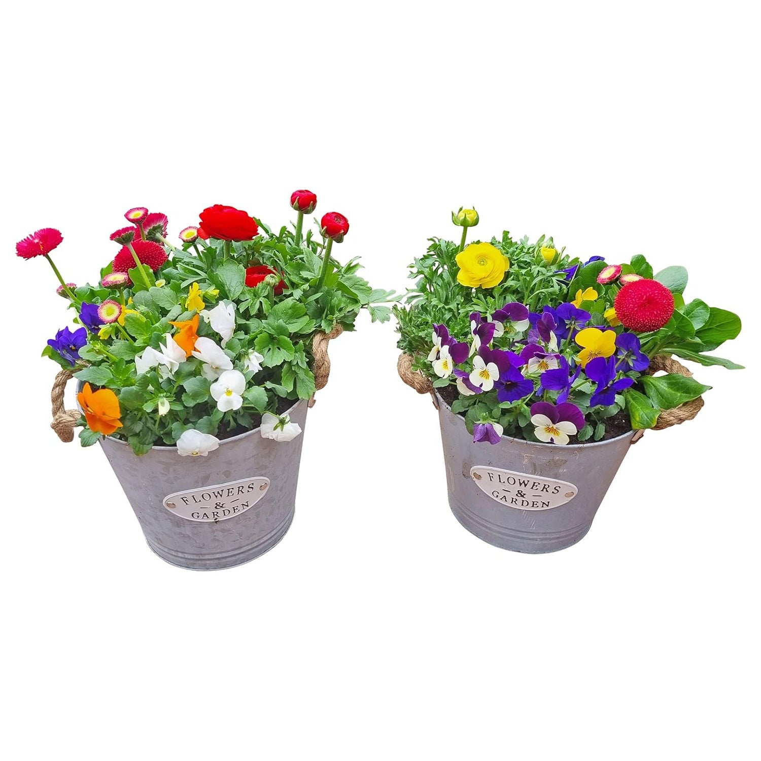 Pflanztopf 2er Set Blumentopf Zinktopf mit Jutegriffen 21/22 cm Übertopf Blumentopf