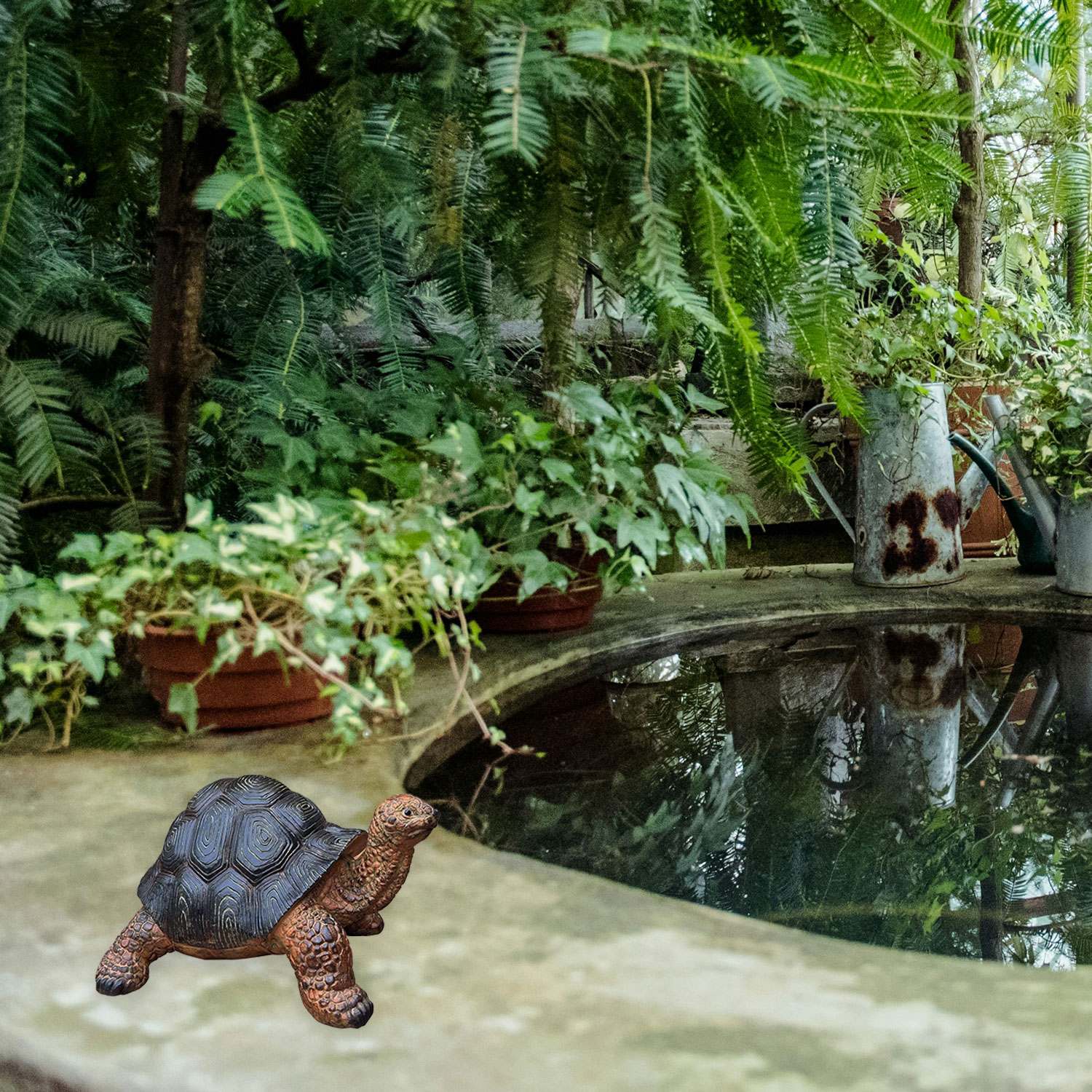 Dekofigur Schildkröte Frieda lebensechte Gartendeko Tierfigur
