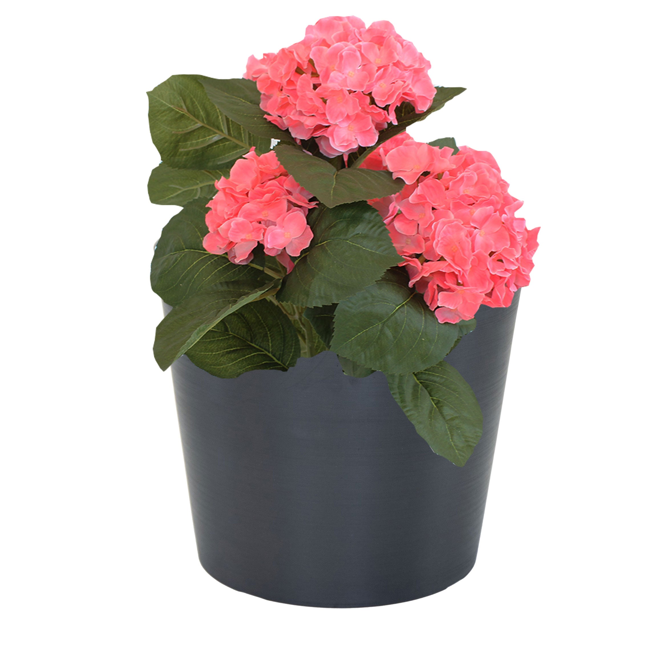 blumenkasten schwarz metall hängend Liva schwarz Balkonblumenkasten 60 / 80 / 100 cm – Balconyliving.de main image 1