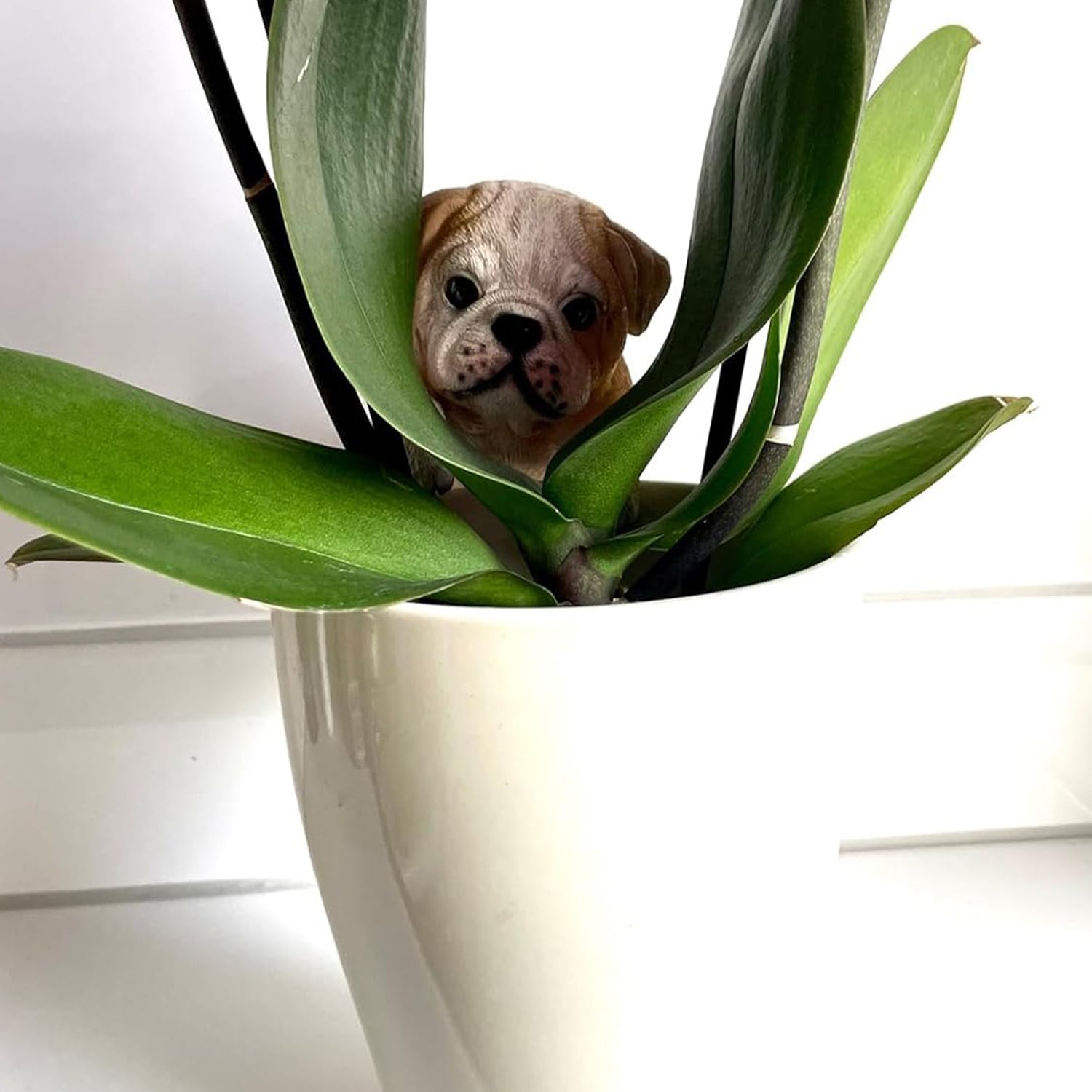 Dekofigur Bulldogge zum Anhängen Blumentopf Hundefigur braun wetterfest für Garten Balkon Terrasse und Zimmerpflanzen