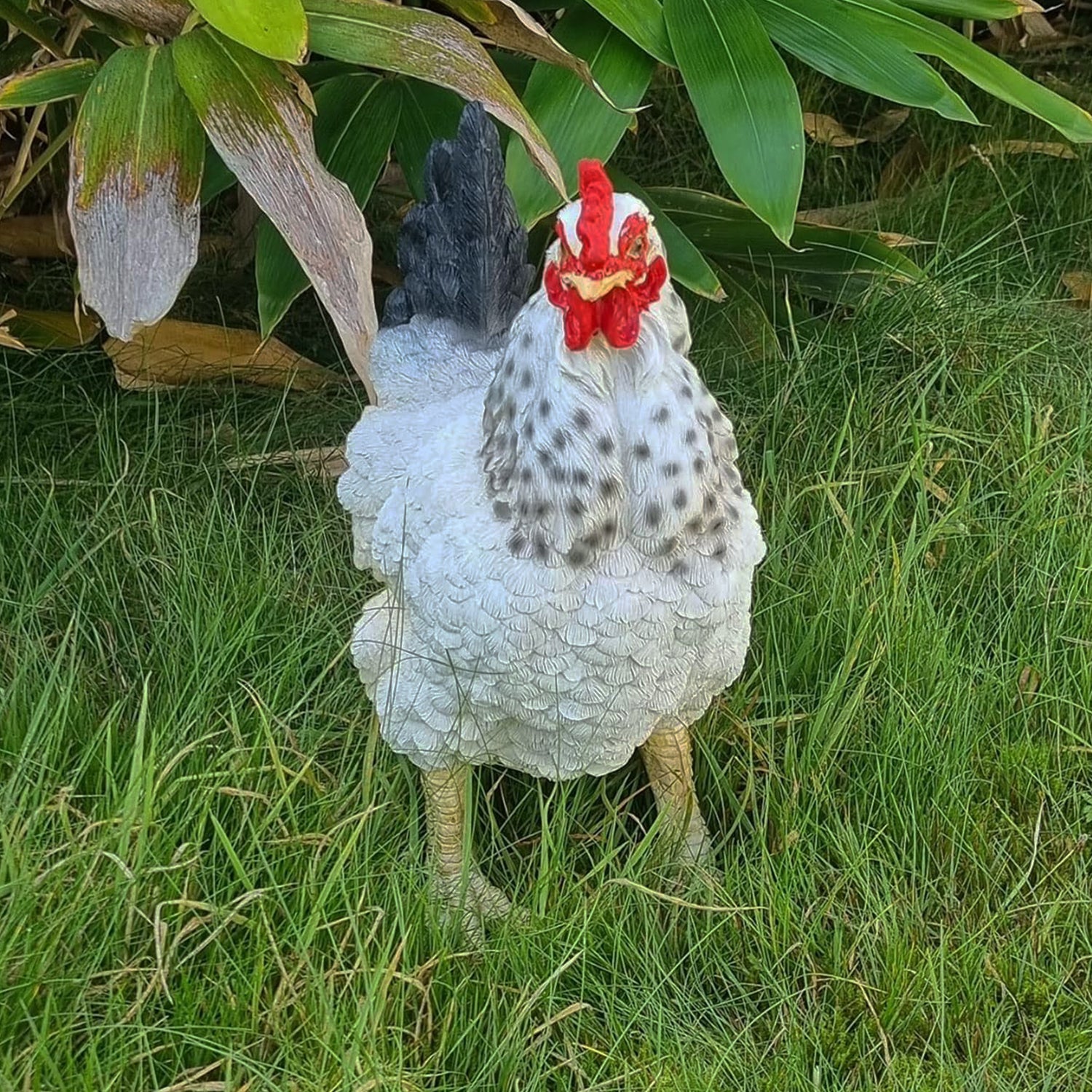 Huhn Henne Huhnfigur Eva Tierfigur stehend Gartenfigur Dekofigur